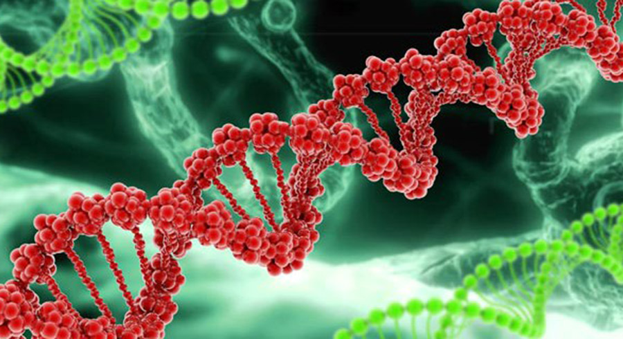 El gen del cáncer de mama: BRCA1 Y BRCA2