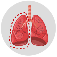icono-cirugia-conservacion-seno-xalapa